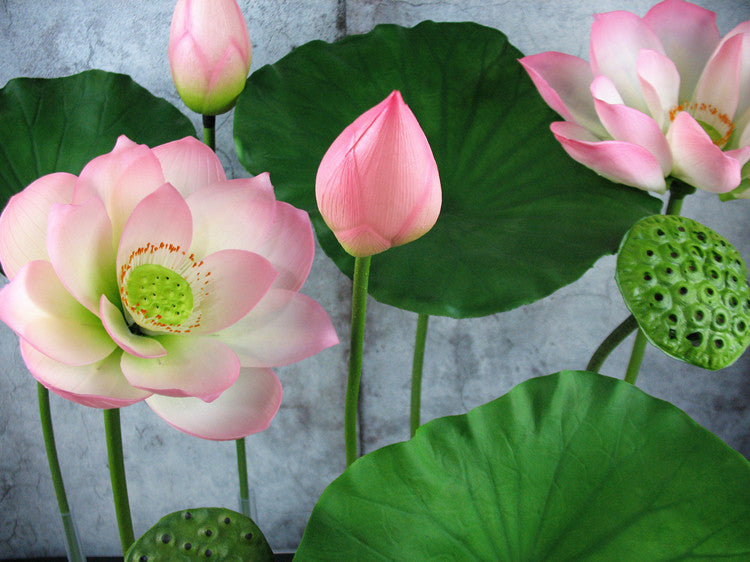 PU Lotus Leaf with Stem Artificial Lotus Leaf Lotus Bud Lotus Pod Chinese Countryside Style Buddhist Hall Decorative Flower Directly from Manufacturer