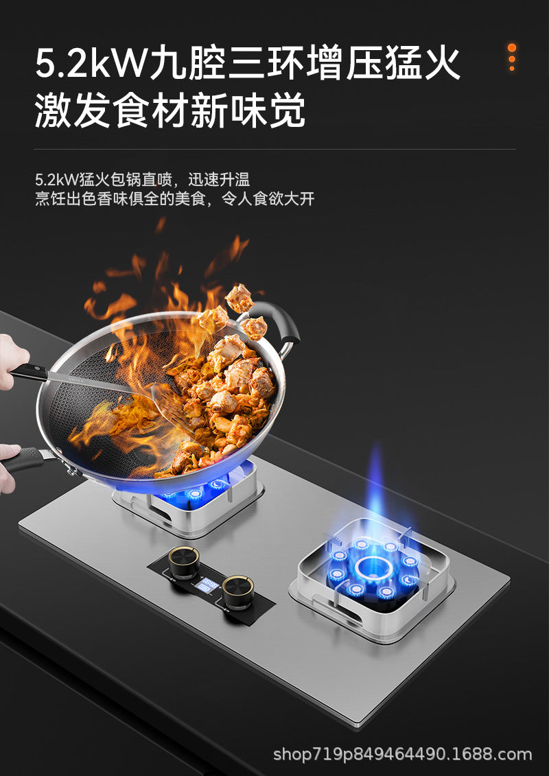 German Brand Gas Stove Double Burner Household Natural Gas Liquefied Gas High Flame Stove Nine-Cavity Direct Injection Stainless Steel New Model