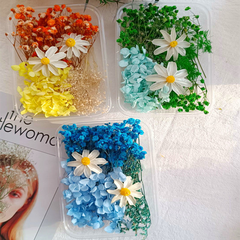 Dried Flowers Eternal Flowers Handmade Exquisite Material Kit Wreath Dried Flowers Trees Hydrangea Decoration Eternal Dried Flowers Material