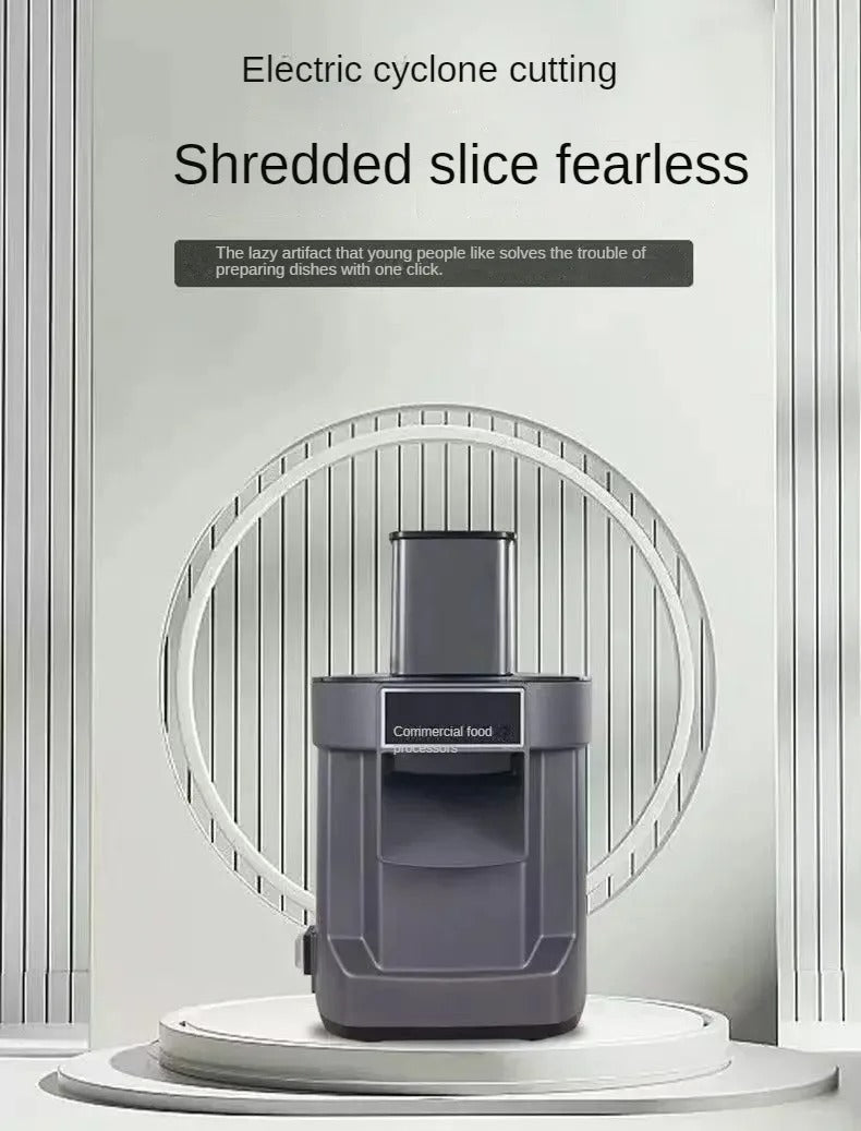 Vegetable slicer 3-in-1 function 220/110V Preferred in RRU