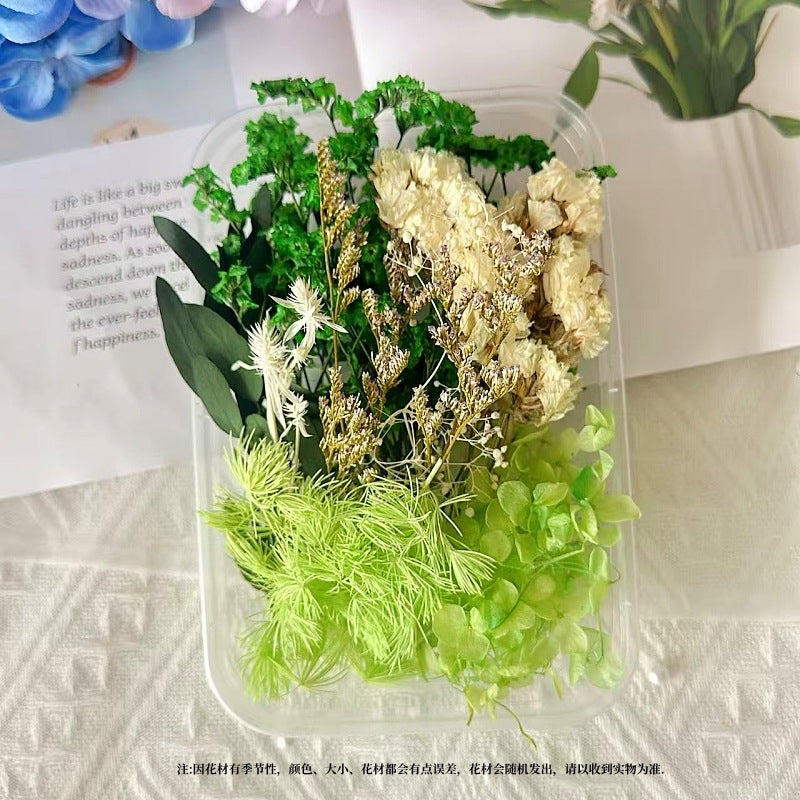 Dried Flowers Eternal Flowers Handmade Exquisite Material Kit Wreath Dried Flowers Trees Hydrangea Decoration Eternal Dried Flowers Material