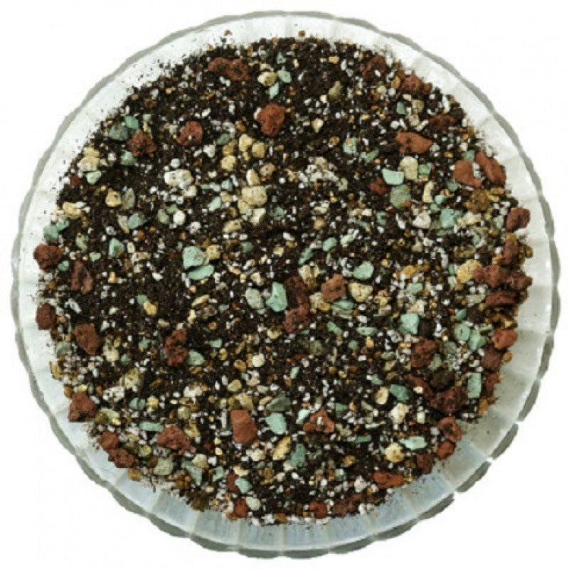 Universal Organic Nutrient Soil for Flowering Plants, Household Planting Soil, Black Soil, Humus Soil for Growing Flowers and Vegetables, Fertilizer Soil