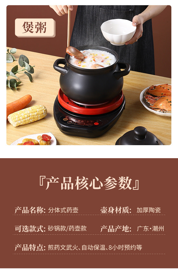 110V Large Capacity Decoction Pot Automatic Health Pot Ceramic Electric Clay Pot for Traditional Chinese Medicine Home Use