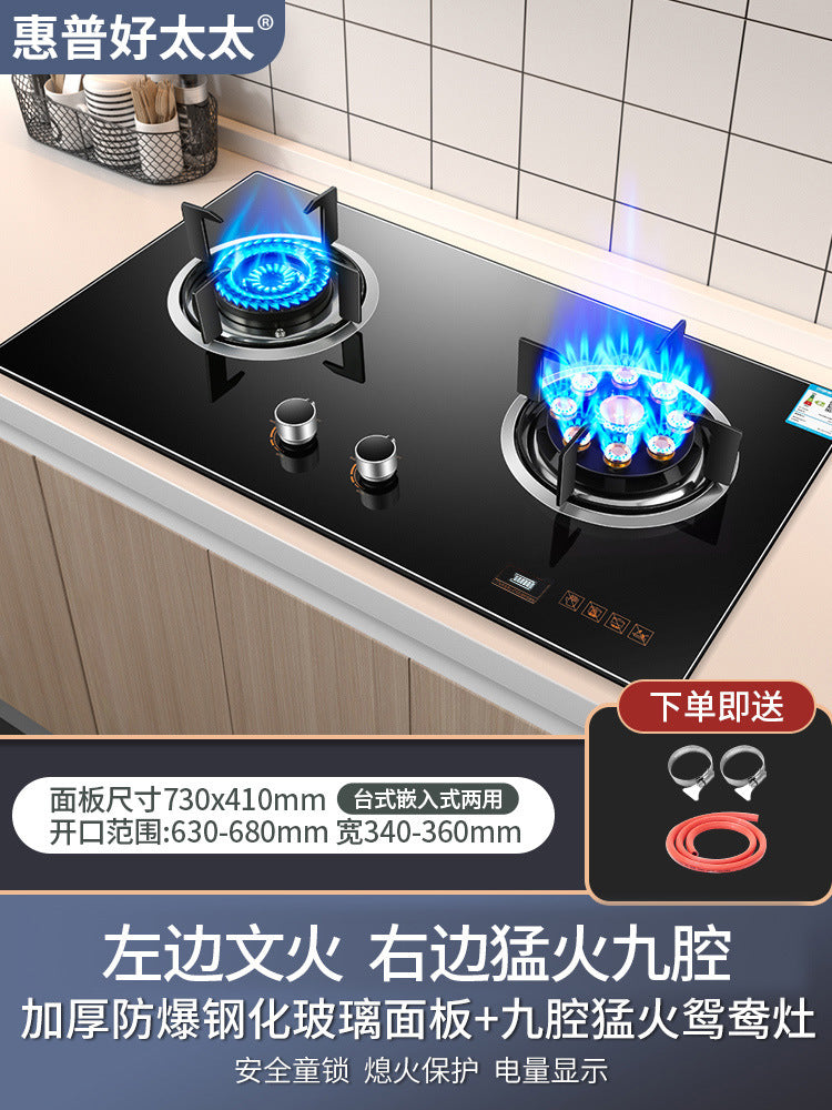 Wholesale High Power Nine-Burner Intense Flame Gas Stove Household Dual Burner Built-in Dual-use Gas Stove Natural Gas Dual Burner