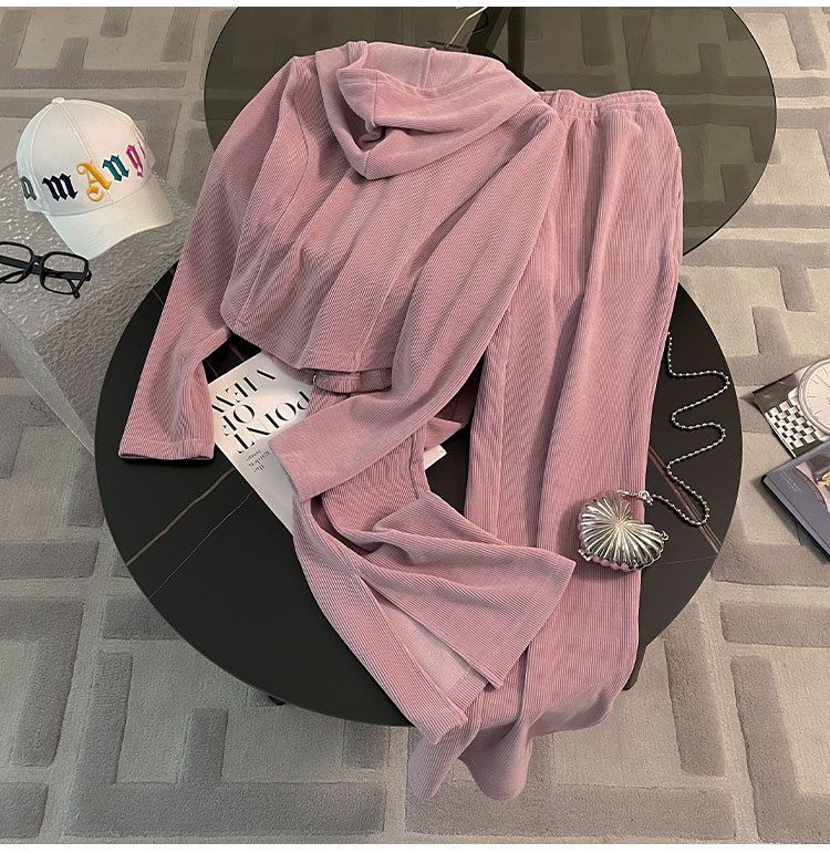 Casual Sports Suit for Women, Spring and Autumn New Loose Short Hooded Top with Draped Split Wide-Leg Pants Two-Piece Set