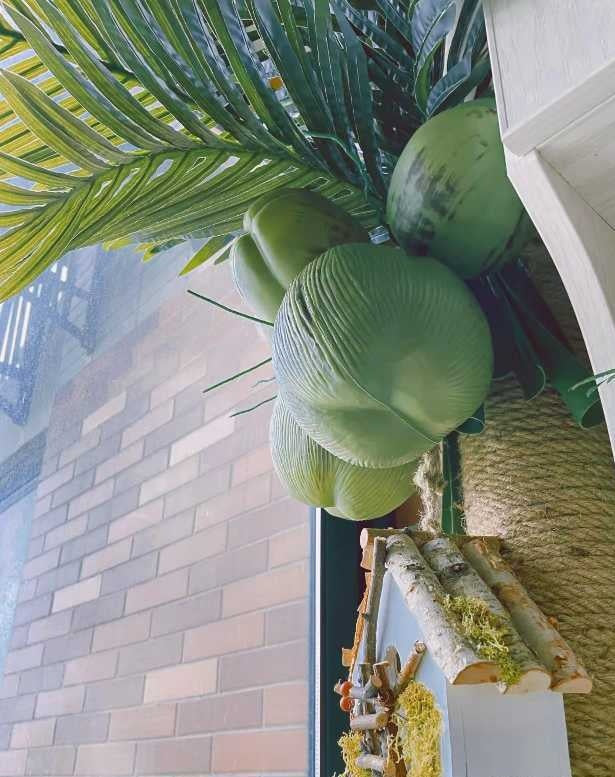 Artificial Coconut Tree Real Green Plant Coconut Fruit Leaves Pipe Decoration Sewer Cover Indoor Beautification Balcony Artificial Landscape