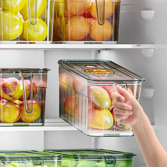 Refrigerator Fresh Storage Box Food Grade Kitchen Special Vegetable Fruit Egg Freezer Storage Organizer Box with Handle