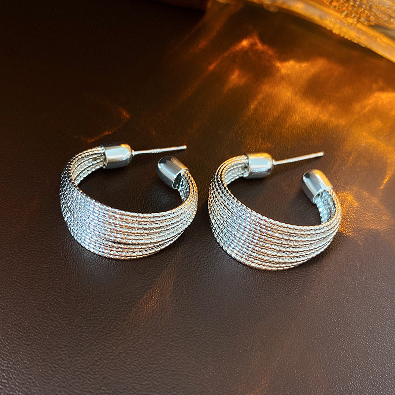 Silver Needle Metal Earrings High-end Simple Stud Earrings Fashion Versatile Light Luxury Unique Niche Earrings Yiwu Wholesale