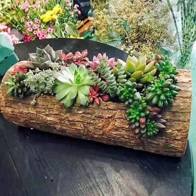 Wooden Flower Pot Succulent Planter Solid Wood Flower Pot Real Wood Flower Pot Wall Hanging Wooden Flower Pot Internet Celebrity Shooting Props