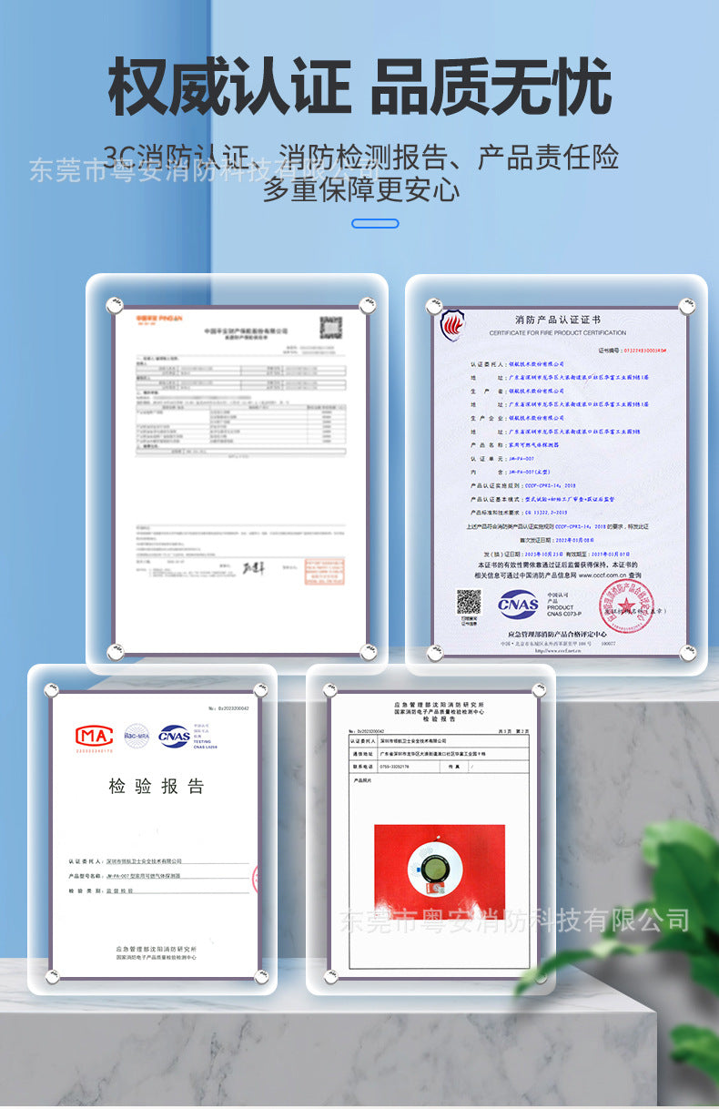 Carbon Monoxide Alarm Household Indoor Coal Smoke Honeycomb Coal Coal Stove Leakage Poisoning co Gas Detector