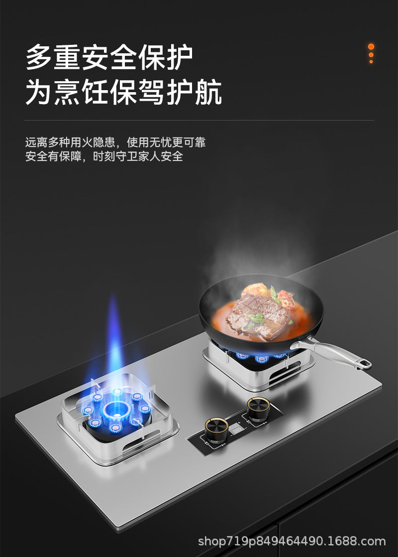 German Brand Gas Stove Double Burner Household Natural Gas Liquefied Gas High Flame Stove Nine-Cavity Direct Injection Stainless Steel New Model