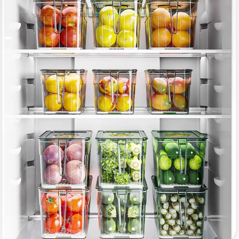 Refrigerator Fresh Storage Box Food Grade Kitchen Special Vegetable Fruit Egg Freezer Storage Organizer Box with Handle