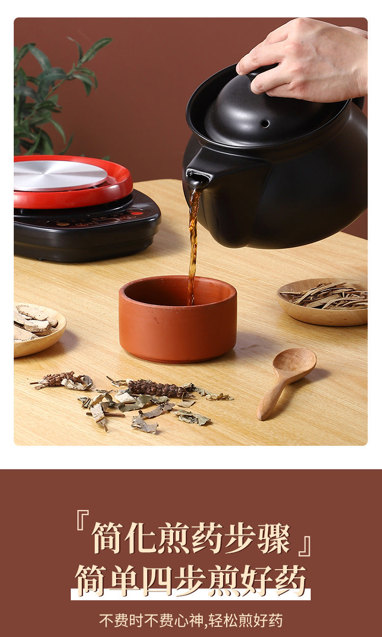 110V Large Capacity Decoction Pot Automatic Health Pot Ceramic Electric Clay Pot for Traditional Chinese Medicine Home Use