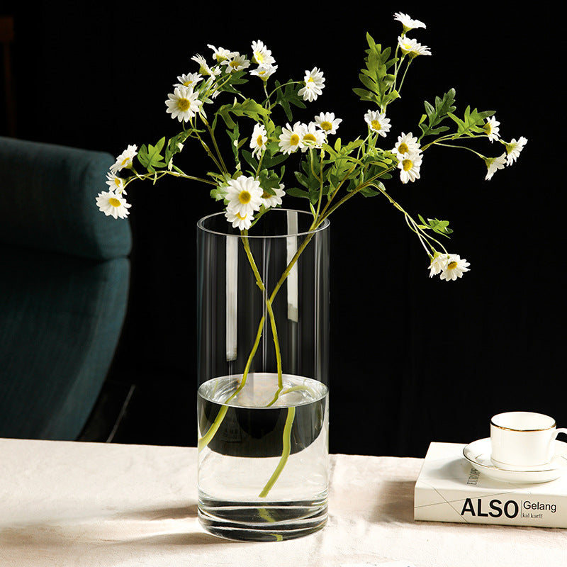 Zefei One-Piece Dropshipping Internet Celebrity Transparent Straight Glass Vase Bedroom Desktop Living Room Dining Table Fresh Flower Arrangement Ornament