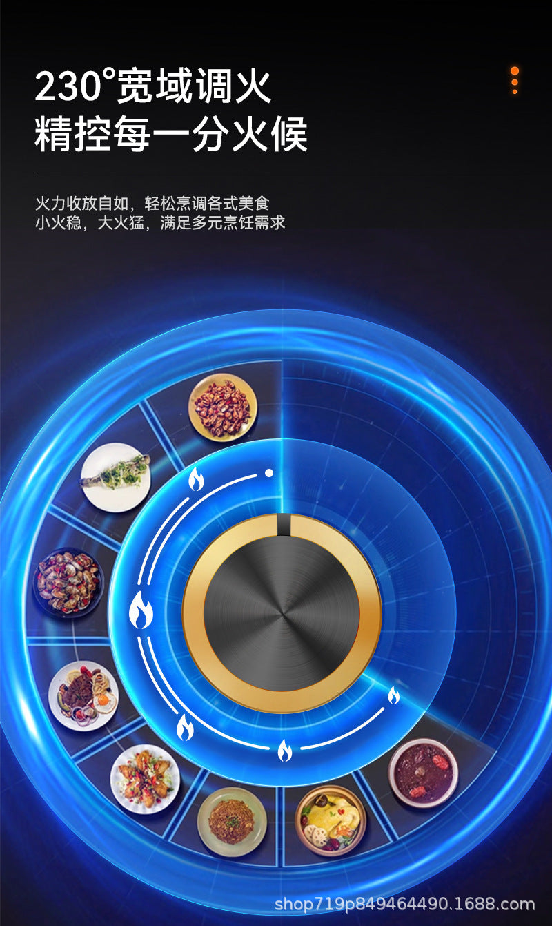German Brand Gas Stove Double Burner Household Natural Gas Liquefied Gas High Flame Stove Nine-Cavity Direct Injection Stainless Steel New Model