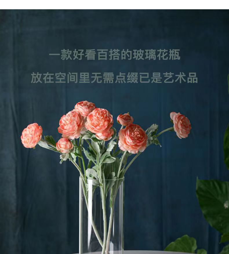 Zefei One-Piece Dropshipping Internet Celebrity Transparent Straight Glass Vase Bedroom Desktop Living Room Dining Table Fresh Flower Arrangement Ornament
