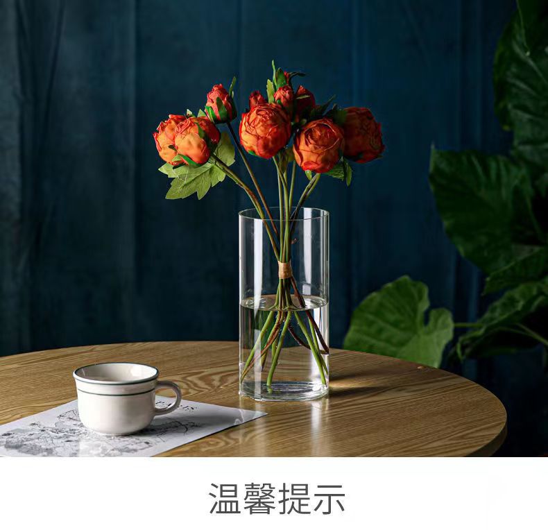 Zefei One-Piece Dropshipping Internet Celebrity Transparent Straight Glass Vase Bedroom Desktop Living Room Dining Table Fresh Flower Arrangement Ornament