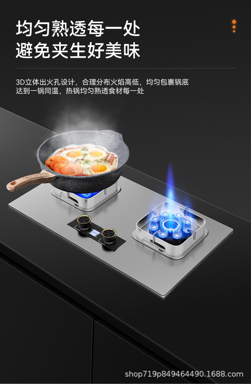 German Brand Gas Stove Double Burner Household Natural Gas Liquefied Gas High Flame Stove Nine-Cavity Direct Injection Stainless Steel New Model