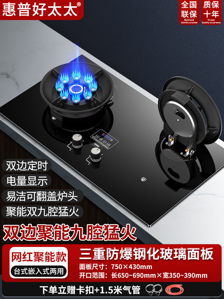 Wholesale High Power Nine-Burner Intense Flame Gas Stove Household Dual Burner Built-in Dual-use Gas Stove Natural Gas Dual Burner