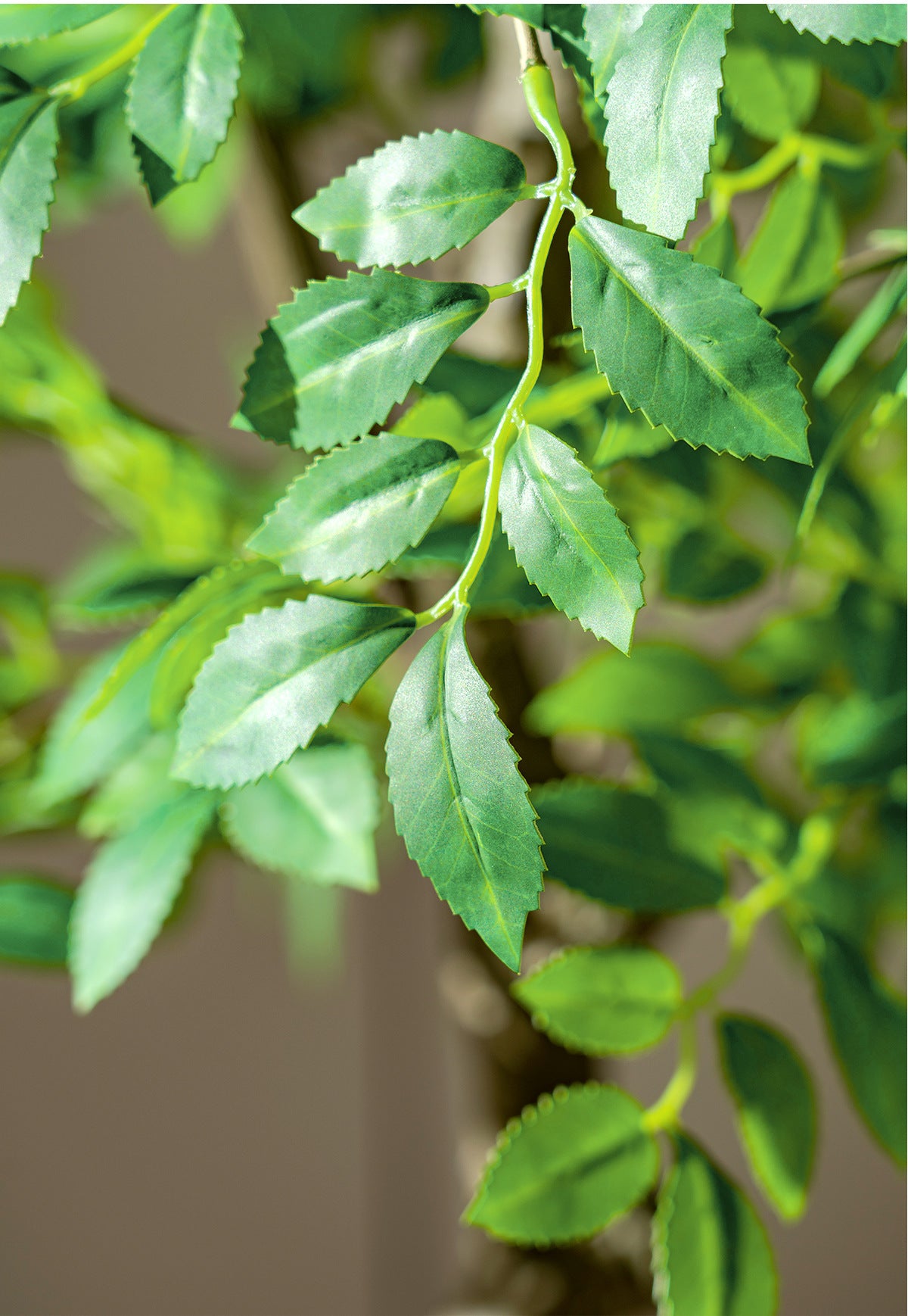 High-End Artificial Green Plant Elm Money Tree Banyan Tree Large Floor Plant Indoor Living Room Atmosphere Fake Tree Landscaping Decoration