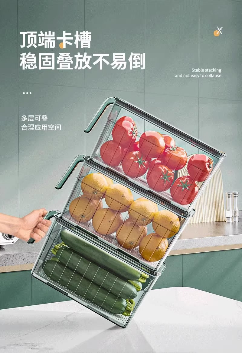 Refrigerator Fresh Storage Box Food Grade Kitchen Special Vegetable Fruit Egg Freezer Storage Organizer Box with Handle