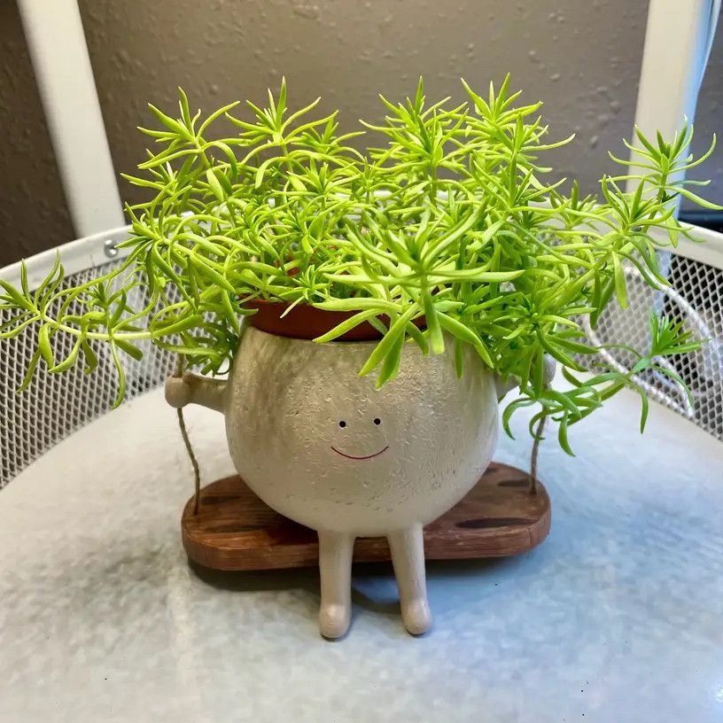 Succulent Flower Pot Cute Smiling Face Swing Flower Pot Personalized Decoration Creative Hanging Hydroponic Flower Pot Balcony Decoration