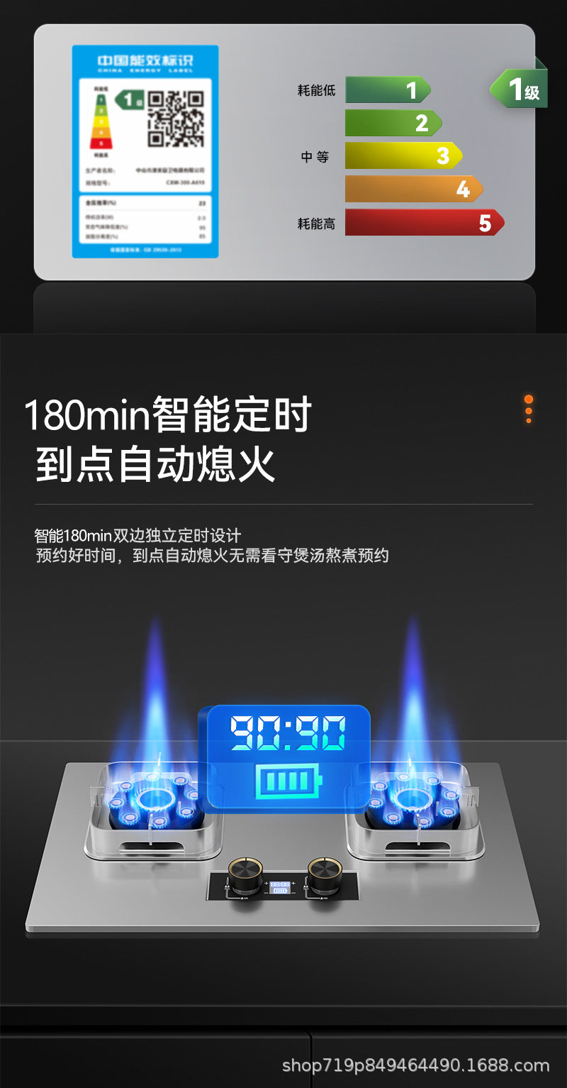German Brand Gas Stove Double Burner Household Natural Gas Liquefied Gas High Flame Stove Nine-Cavity Direct Injection Stainless Steel New Model