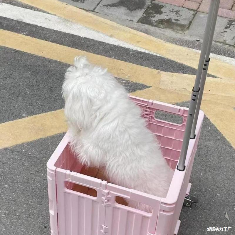 Pulling Cart for Grocery Shopping and Package Delivery, Lightweight Folding Stair Climbing Handcart with Cover