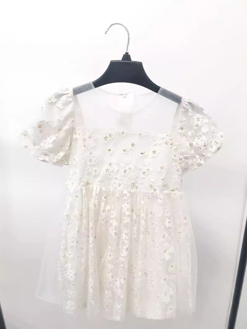 Little Girl Mesh Princess Dress