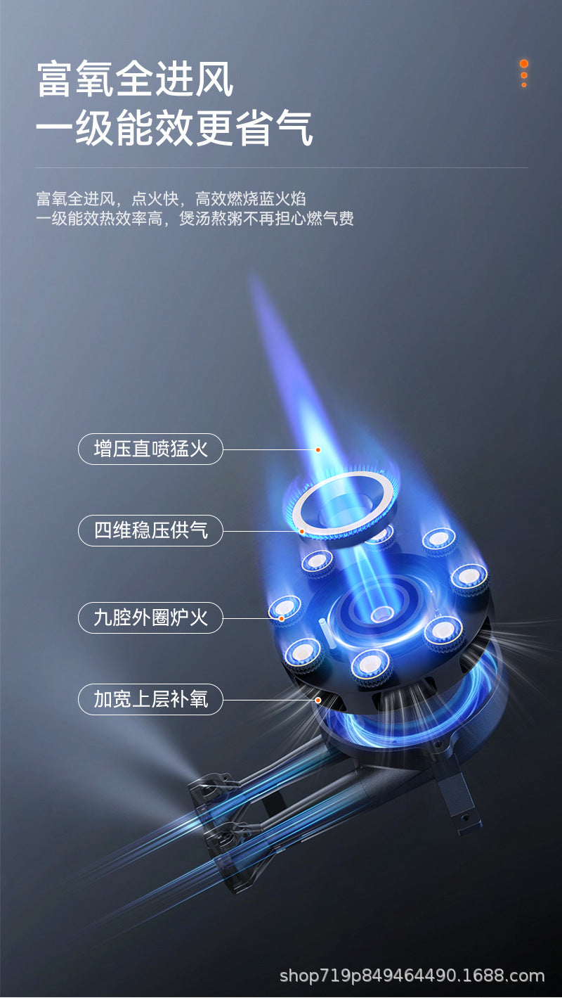 German Brand Gas Stove Double Burner Household Natural Gas Liquefied Gas High Flame Stove Nine-Cavity Direct Injection Stainless Steel New Model