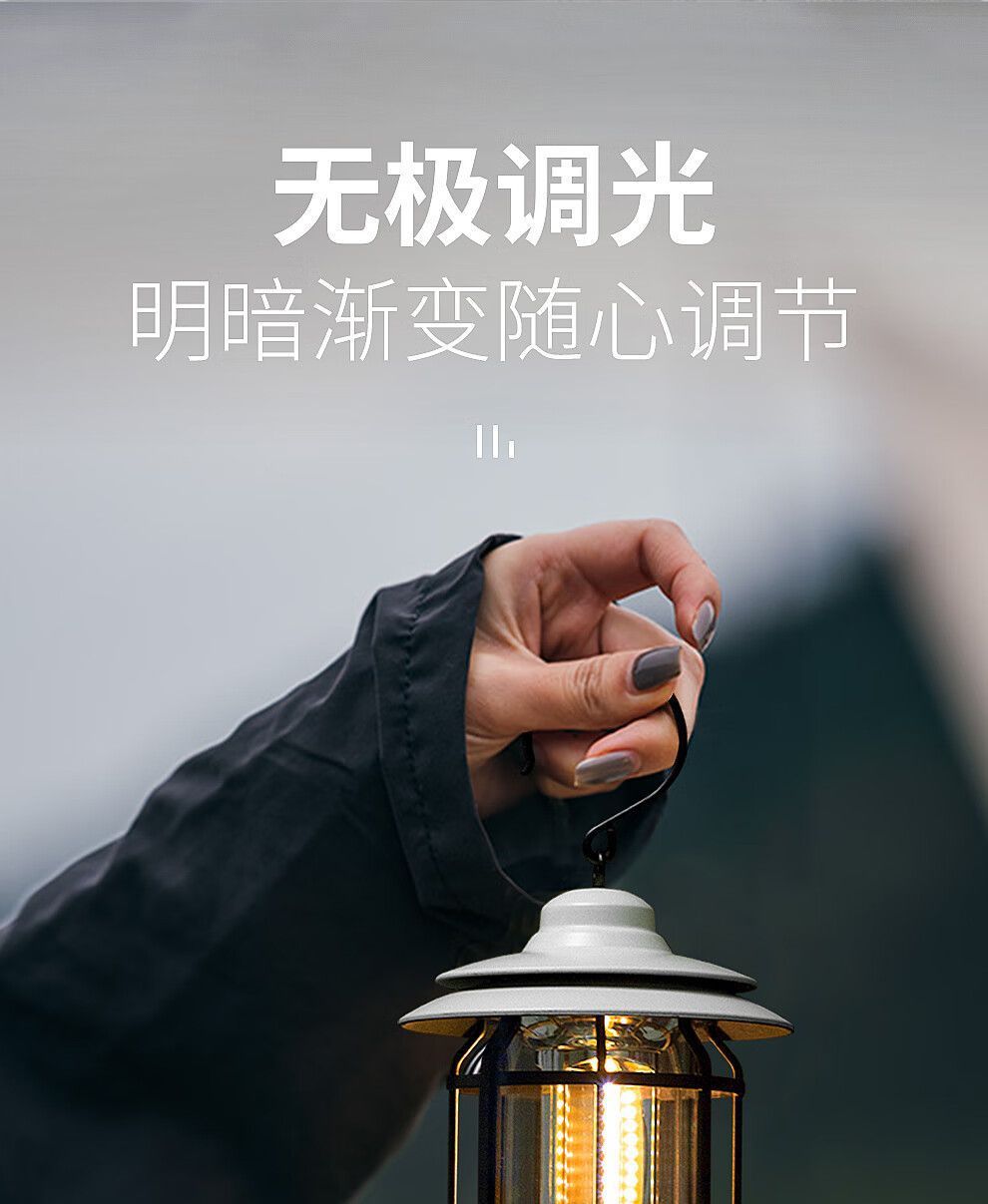 TikTok Hot-Selling Camping Light Atmosphere Light Flame Camping Light Tent Retro Lantern Outdoor Rechargeable Handheld Light Gift