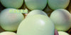 45bedf9f-fc5b-473e-85f8-ebf0c8049ee2
