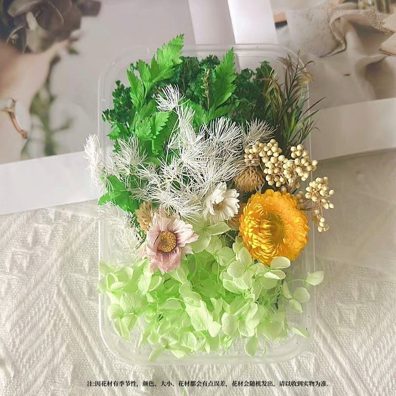 Dried Flowers Eternal Flowers Handmade Exquisite Material Kit Wreath Dried Flowers Trees Hydrangea Decoration Eternal Dried Flowers Material