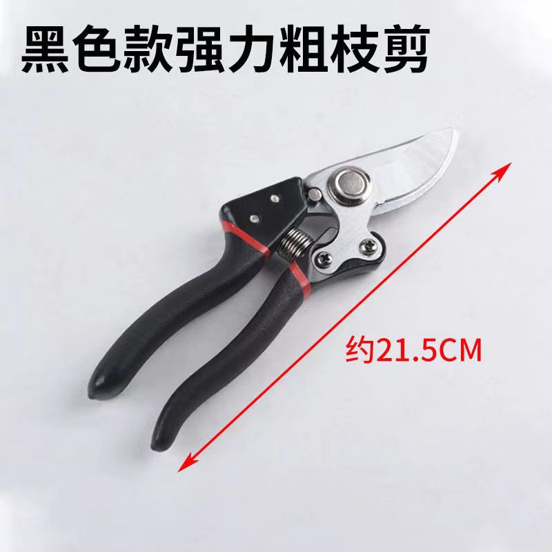 Home Fruit Tree Pruning Shears, Flower Pruning, Fruit Picking, Branch Shears, Greening Grafting, Pruning, Gardening Shears
