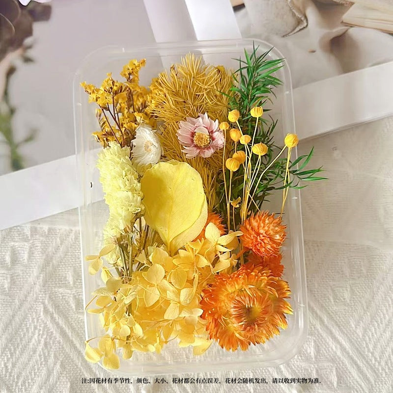 Dried Flowers Eternal Flowers Handmade Exquisite Material Kit Wreath Dried Flowers Trees Hydrangea Decoration Eternal Dried Flowers Material