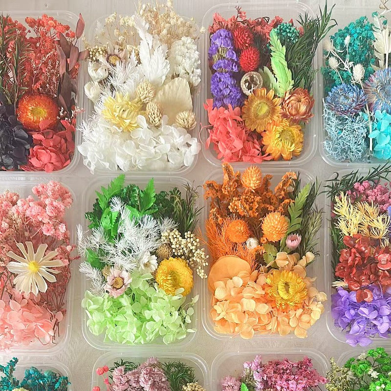 Dried Flowers Eternal Flowers Handmade Exquisite Material Kit Wreath Dried Flowers Trees Hydrangea Decoration Eternal Dried Flowers Material