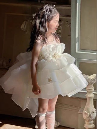 Floral Birthday Princess Puffy Skirt Dress