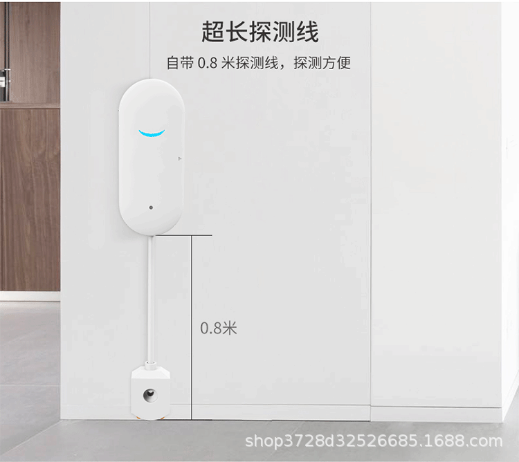 Graffiti wifi Intelligent Water Intrusion Detector Water Level Leak Sensor Remote APP Water Leak Detector