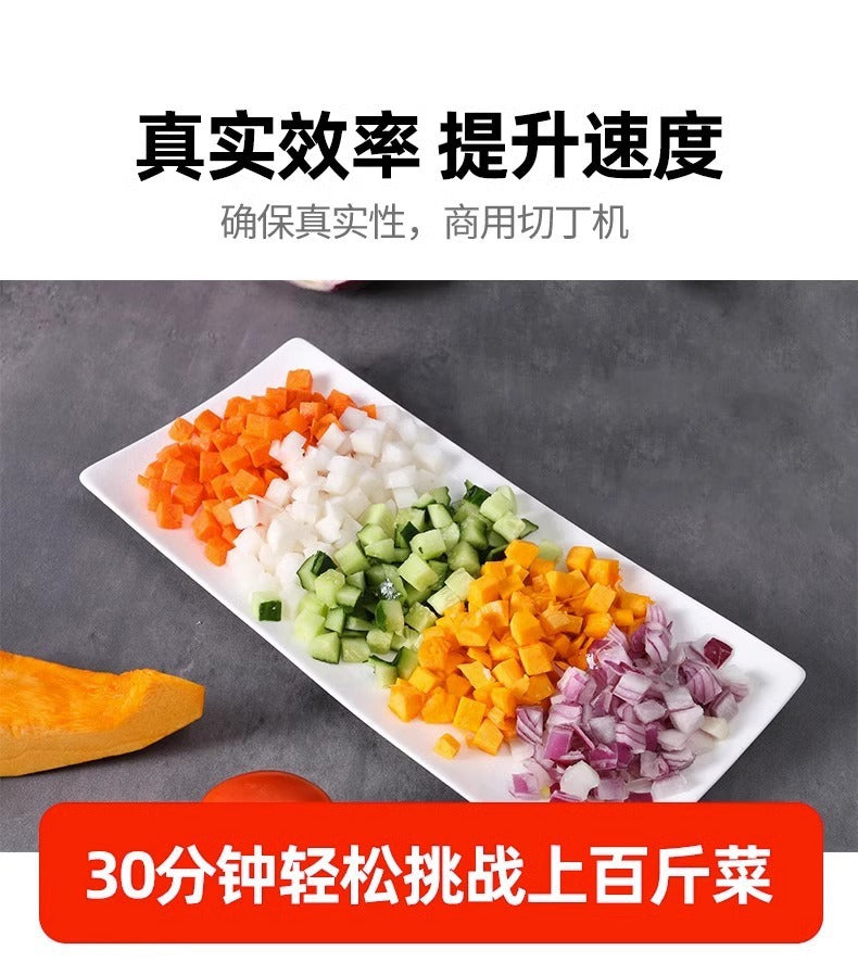 Vegetable slicer 3-in-1 function 220/110V  Preferred in RRU