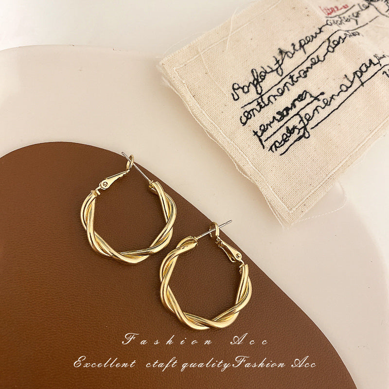 Silver Needle Metal Earrings High-end Simple Stud Earrings Fashion Versatile Light Luxury Unique Niche Earrings Yiwu Wholesale