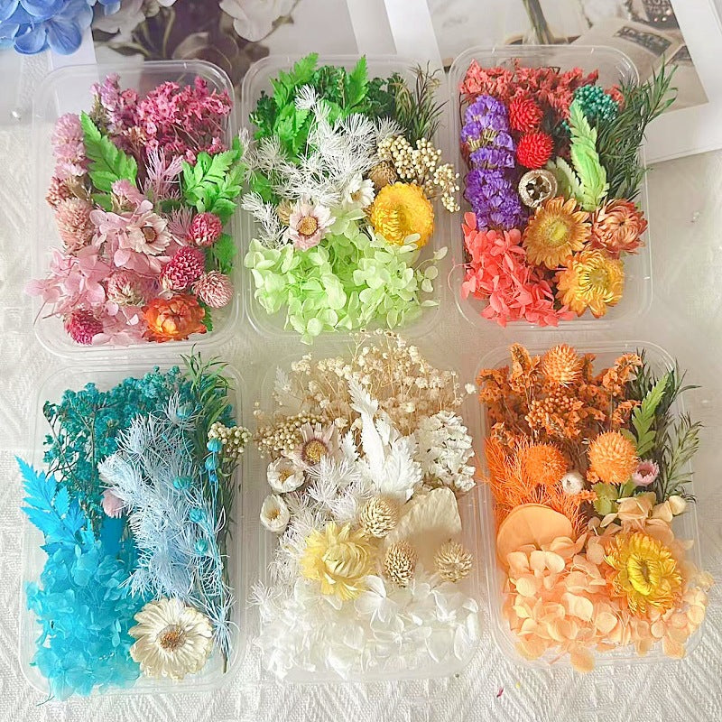 Dried Flowers Eternal Flowers Handmade Exquisite Material Kit Wreath Dried Flowers Trees Hydrangea Decoration Eternal Dried Flowers Material