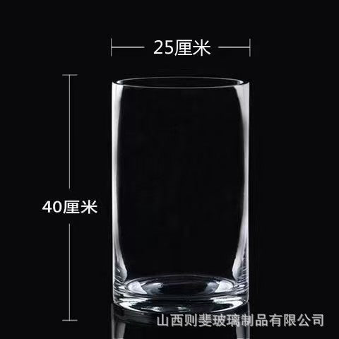 Zefei One-Piece Dropshipping Internet Celebrity Transparent Straight Glass Vase Bedroom Desktop Living Room Dining Table Fresh Flower Arrangement Ornament