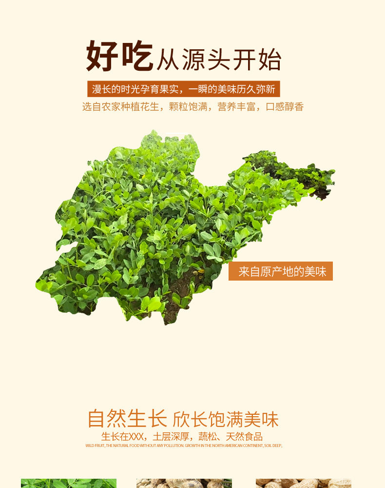 Five-Spice Peanut Snacks100Kedai New Stock Roasted Snacks for Wine Lovers, Various Flavors, Wholesale Available from Factory Source