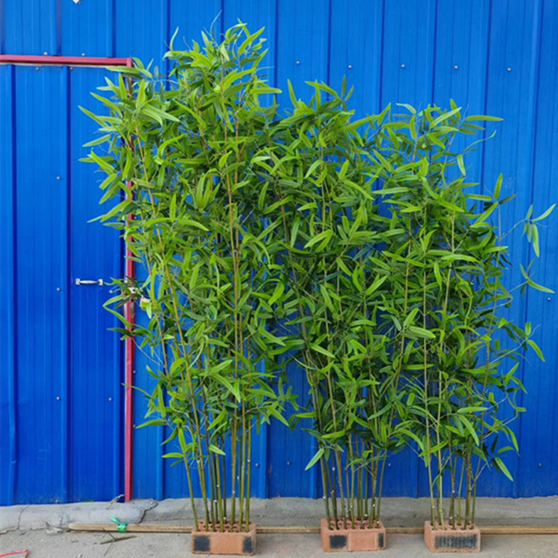 Artificial Bamboo Fake Bamboo Hotel Restaurant Home Indoor Partition Decoration Wholesale Green Plant