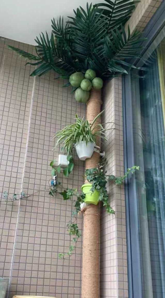 Artificial Coconut Tree Real Green Plant Coconut Fruit Leaves Pipe Decoration Sewer Cover Indoor Beautification Balcony Artificial Landscape