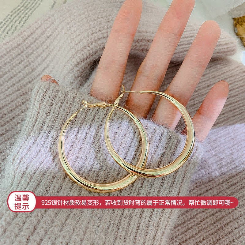 Silver Needle Metal Earrings High-end Simple Stud Earrings Fashion Versatile Light Luxury Unique Niche Earrings Yiwu Wholesale