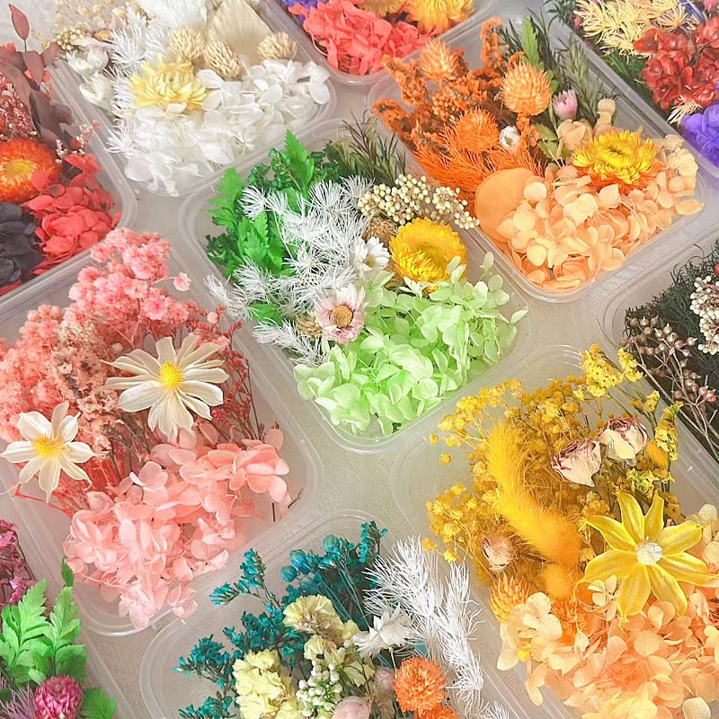 Dried Flowers Eternal Flowers Handmade Exquisite Material Kit Wreath Dried Flowers Trees Hydrangea Decoration Eternal Dried Flowers Material