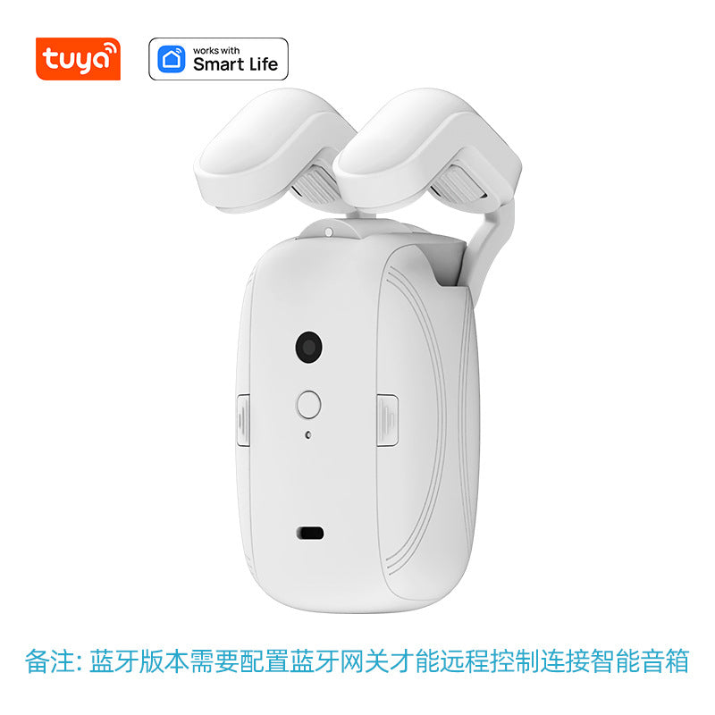 Electric Curtain Motor Smart Home Curtain Assistant Tuya Mobile Remote Control Automatic Smart Curtain Companion