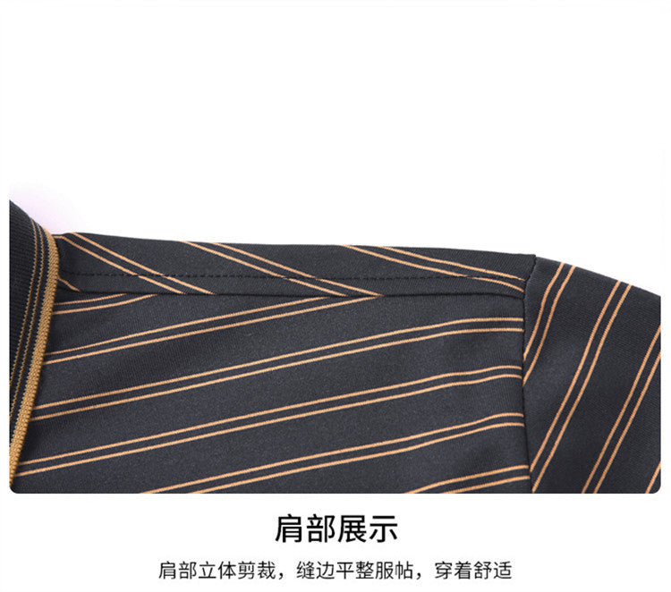 Autumn Men's Long Sleeve Cotton t Shirt for Middle-aged Dad Autumn Outfit with Turn-down Collar and Stripes POLO Base Layer Shirt T Grandpa's clothes
