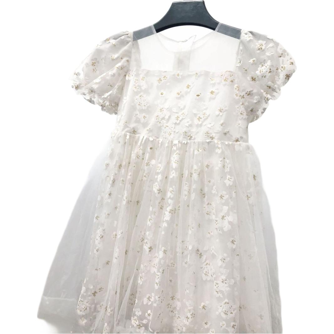 Little Girl Mesh Princess Dress